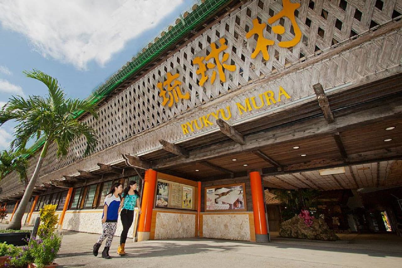 Okinawa Churaumi TokuToku Pass - image 10
